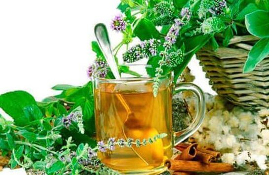 Herbs of psoriasis